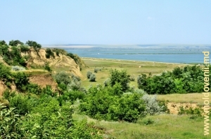Озеро Ротунда у села Манта, Кагул