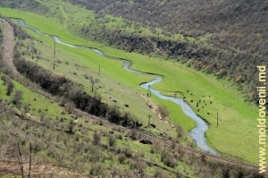 Долина реки Чорна в ущелье у села Матеуць, Резина. Апрель, 2013 г.