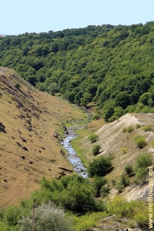 Долина реки Раковэц на окраине села Гординешть