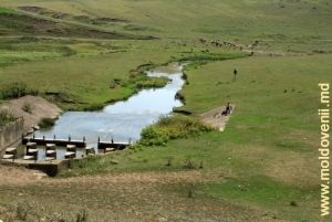 Река Лопатник после выхода из водохранилища