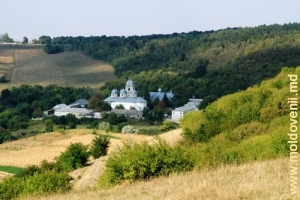 Vedere de pe panta dealului spre Mănăstirea Dobruşa