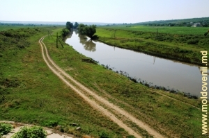 Răutul lîngă satul Ustie, Dubăsari