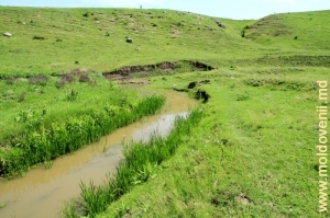Rîul Bogda de-a lungul drumului dintre satul Bleşteni şi carieră