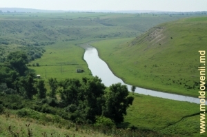 Долина Рэута у села Рогожень, Шолдэнешть