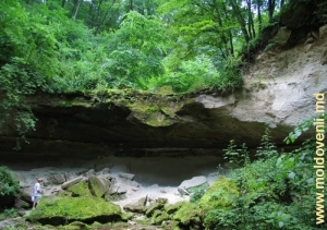 Иссякший водопад в лесу у монастыря Рудь, Сорока