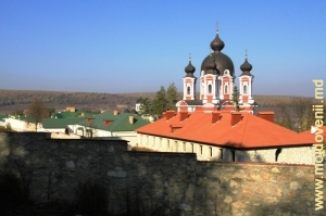 Mănăstirea Curchi, vedere de pe panta sudică a colinei, noiembrie 2011