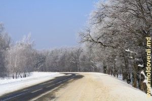 Трасса Кишинев-Леушень, зима 2012 