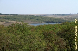 Вид на водохранилище на Раковце в верхней его части