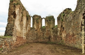 Ruinele Catedralei Catolice din Baia