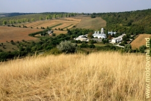 Vedere spre Mănăstirea Dobruşa şi împrejurimile acesteia din vîrful stîncii „Golgota”