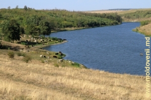 Живописные берега водохранилища в средней его части