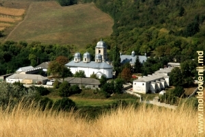 Vedere spre Mănăstirea Dobruşa şi împrejurimi din vîrful stîncii „Golgota”, prim-plan 