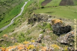 Река Раковэц в ущелье у села Буздуджень, Единец