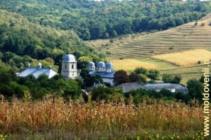 Vedere spre Mănăstirea Dobruşa, Şoldăneşti dinspre drumul de acces