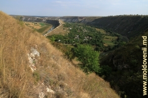 Vedere spre satul Butuceni de pe panta defileului spre vest, plan îndepărtat