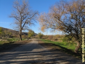 Дорога на окраине села Сахарна, Резина