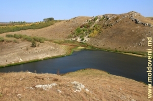 Слияние реки Драгиште с рекой Раковэц в начале Раковэцкого водохранилища