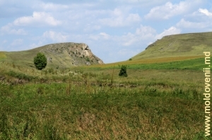 Ущелье в долине Лопатника ближе к селу Каракушений Векь