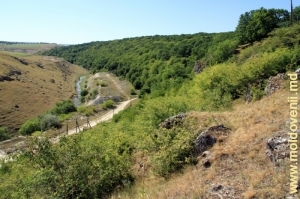 Долина реки Раковэц на окраине села Гординешть
