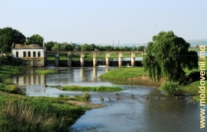 Vedere spre Răut şi barajul fostei hidrocentrale de lîngă satul Căzăneşti, Teleneşti