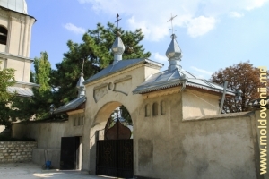 Intrarea în Mănăstirea Dobruşa, Şoldăneşti