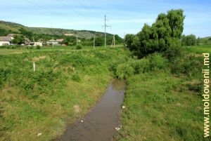 Река Когыльник у села Бобейка, Хынчешть
