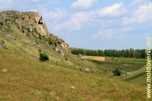 Склон толтровой скалы над рекой Лопатник между селами Коржеуць и Каракушений Векь
