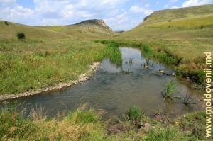 Река Лопатник между селами Каракушений Векь и Коржеуць