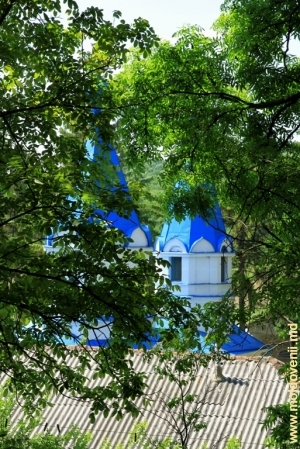 Вид на монастырь Циганешть со стороны леса 