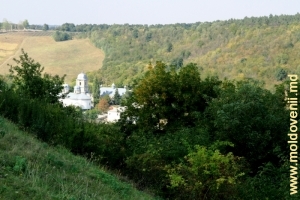 Vedere din defileu spre Mănăstirea Dobrușa, Șoldănești