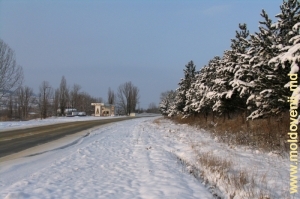Зимняя дорога в Страшенском районе
