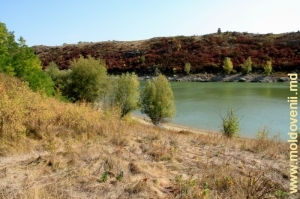 Река Раковэц в нижнем ее течении вблизи устья