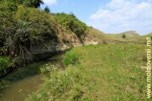 Обрывистый берег реки Лопатник за урочищем Борта Чунтулуй