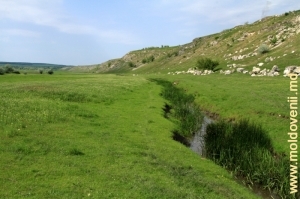 Valea Camencei la poalele Recifului Buteşti între satele Buteşti şi Cobani