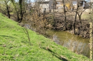 Река Чорна в Шолдэнештах. Апрель, 2013 г.