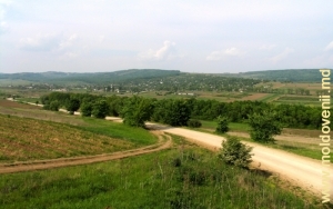 Дорога на село Бахмут, Кэлэраш