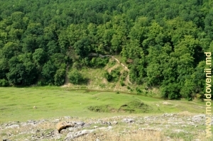 Долина реки Раковэц между урочищем Ла Кастел и Володенским ущельем