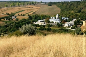 Vedere spre Mănăstirea Dobruşa şi împrejurimi din vîrful stîncii „Golgota”, plan mediu