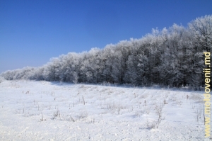 Трасса Кишинев-Леушень, зима 2012 