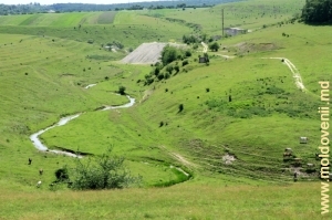 Valea rîului Bogda, mai jos de satul Bleşteni şi cariera de pe malul lui