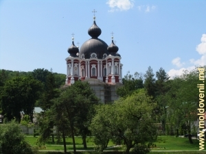 Vedere spre cupolele Bisericii Naşterea Maicii Domnului a Mănăstirii Curchi peste lac, anul 2009