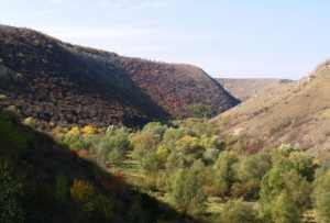 Нижняя часть Циповского ущелья. Осень