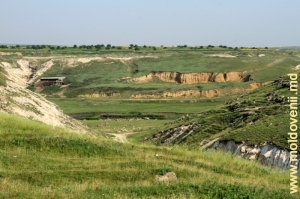 Valea rîului Răut lîngă satul Ştefăneşti, Floreşti