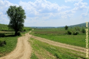 Дорога к селу Онешть, Стрэшень