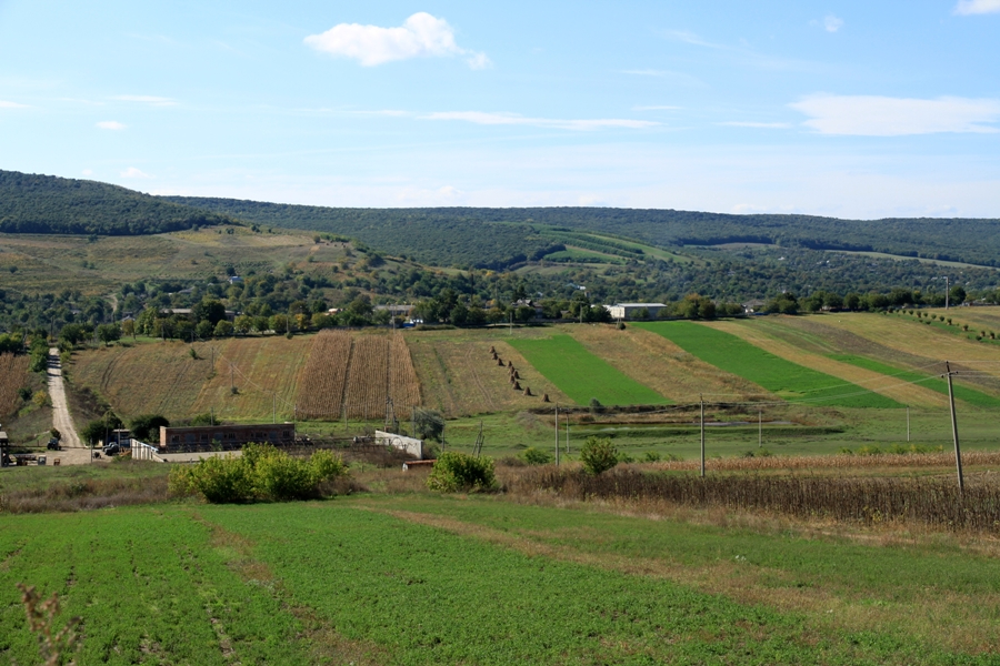 Вид на село Леушень и окрестности с холма