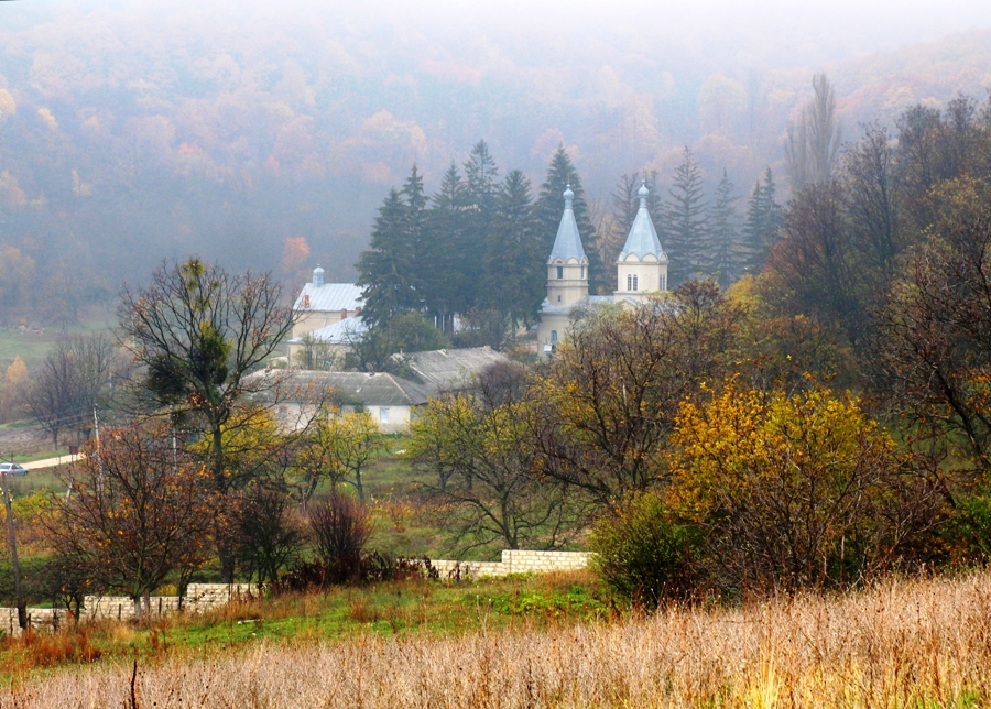 Вид на монастырь осенью