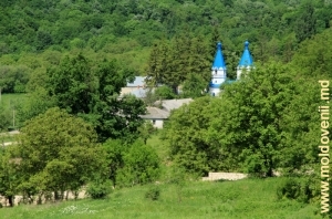 Vedere spre mănăstirea Ţigăneşti
