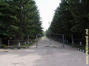 Parcul din satul Pelinia
