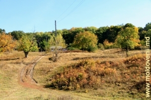 Осенний пейзаж в селе Веверица, октябрь 2011