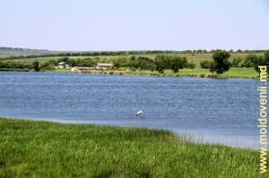 Lacul din apropierea satului Drujineni